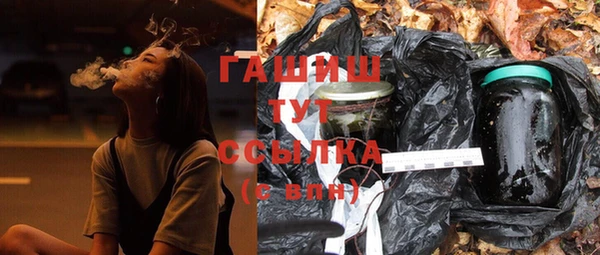 сатива Беломорск