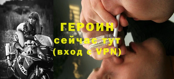 сатива Беломорск