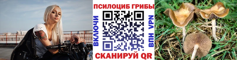 Галлюциногенные грибы прущие грибы  Ивантеевка 